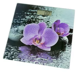 Вага підлогова RSB15-P Вага підлогова RSB15-P